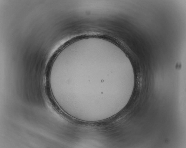 X0000111830726200908131546