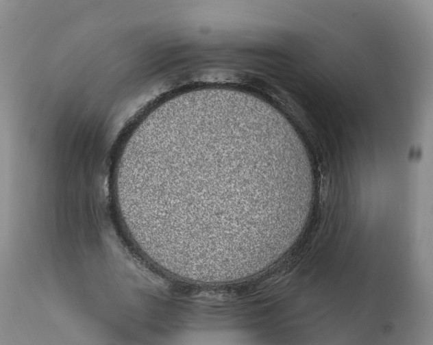 X0000111830727200908131546