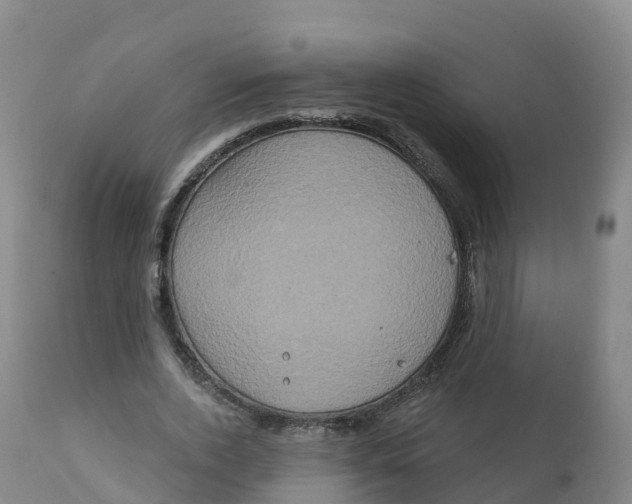 X0000111830728200908131546