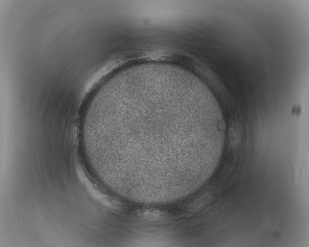 X0000111830730200908131546