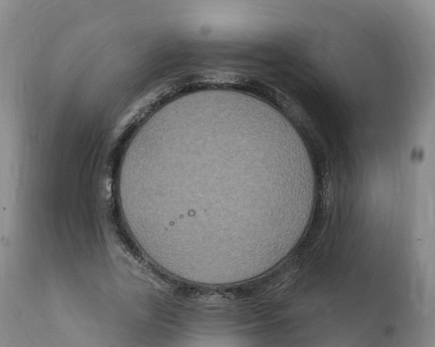 X0000111830731200908131546