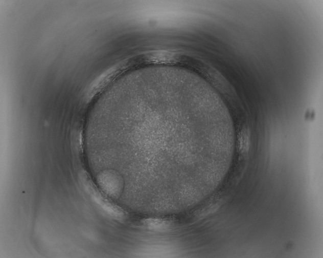 X0000111830733200908131546