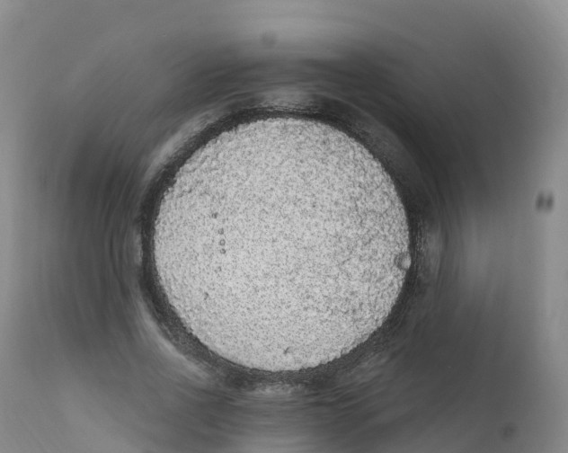 X0000111830734200908131546