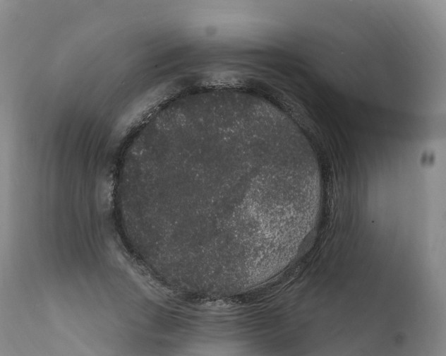 X0000111830735200908131546