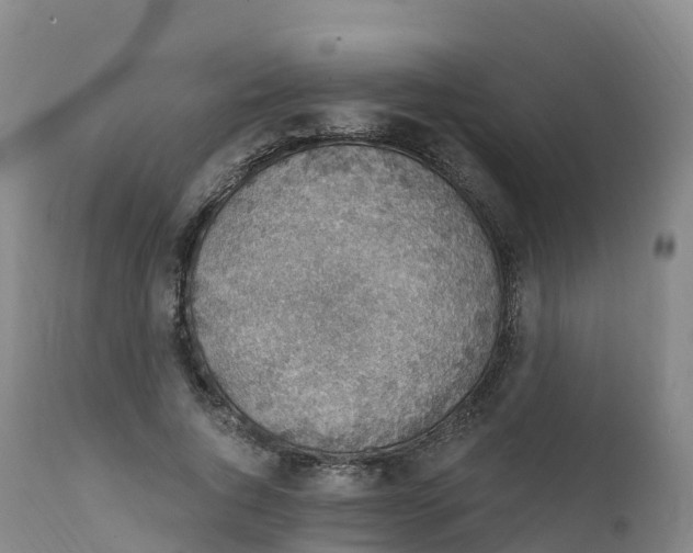 X0000111830736200908131546