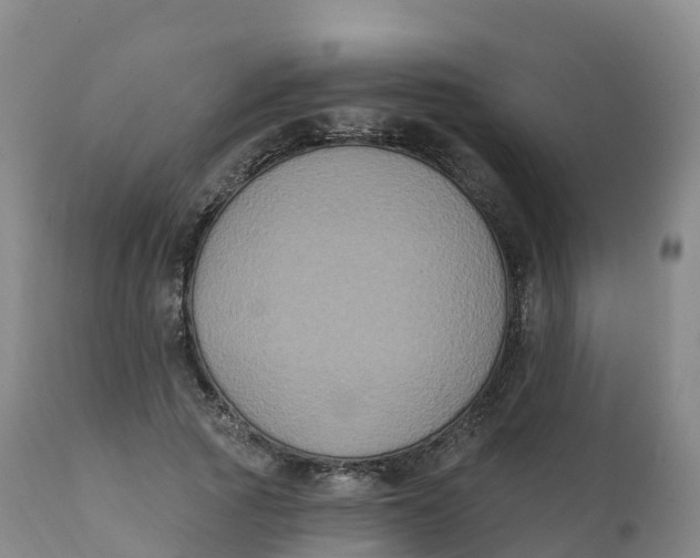 X0000111830737200908131546