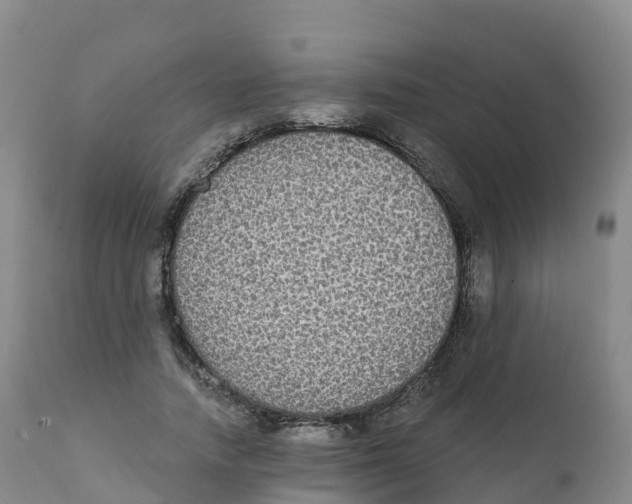 X0000111830738200908131546