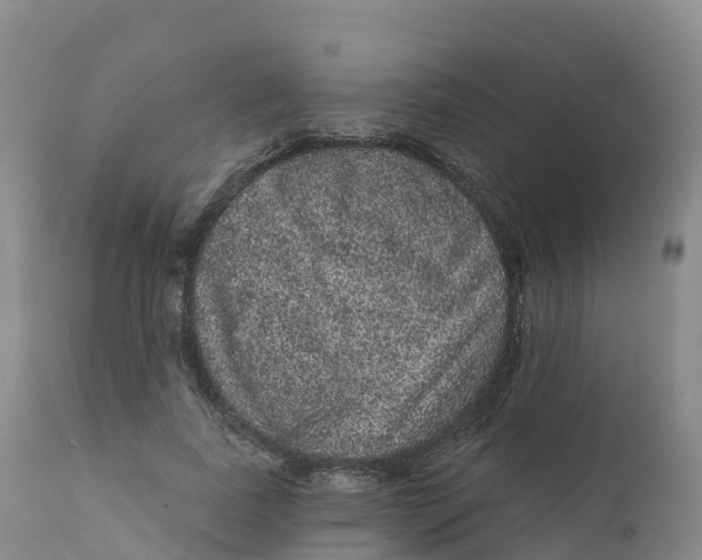 X0000111830739200908131546