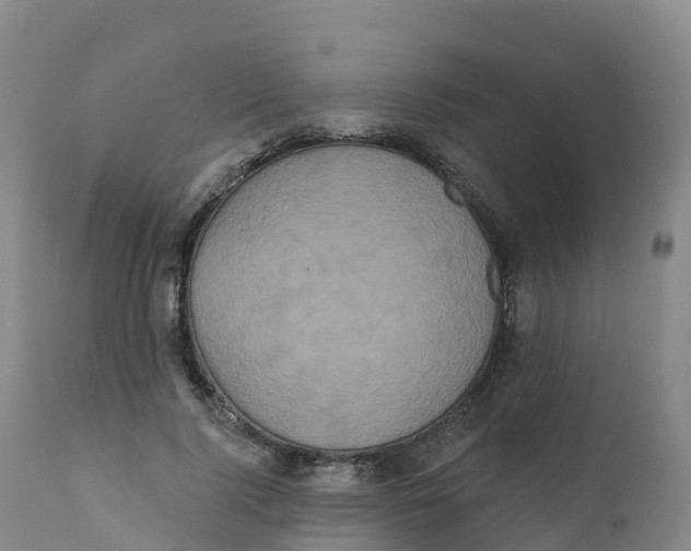 X0000111830740200908131546