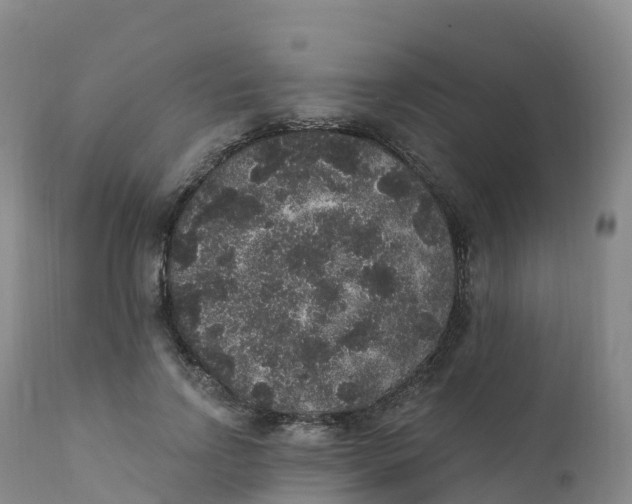 X0000111830742200908131546