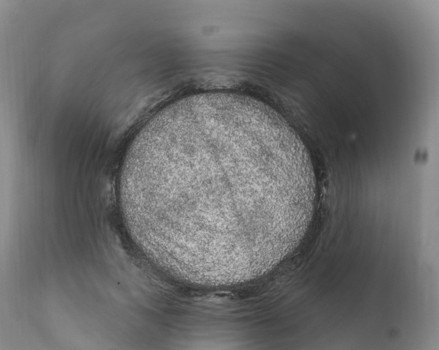 X0000111830743200908131546