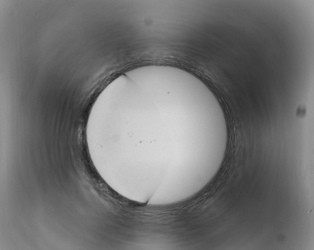 X0000111830744200908131546