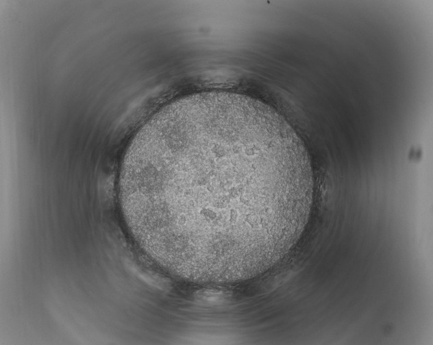 X0000111830745200908131546