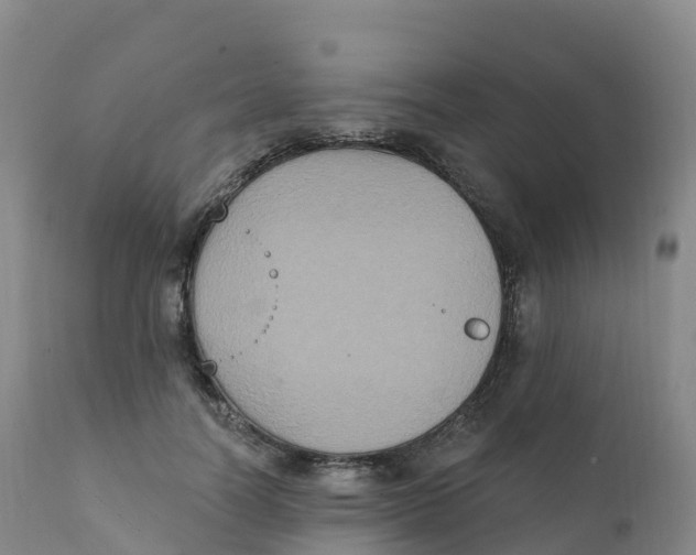 X0000111830746200908131546