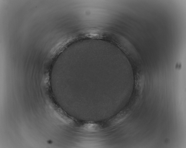 X0000111830748200908131546