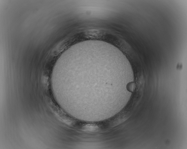 X0000111830749200908131546