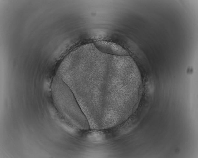 X0000111830750200908131546