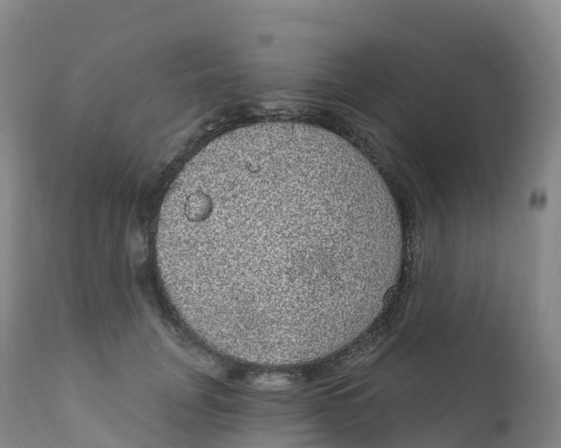 X0000111830751200908131546