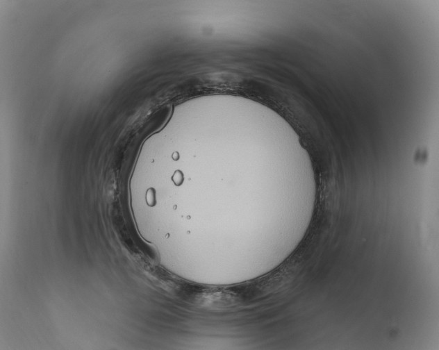 X0000111830752200908131546