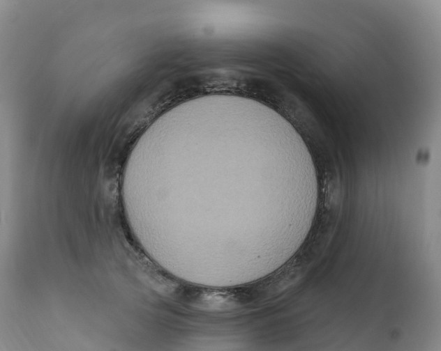 X0000111830753200908131546