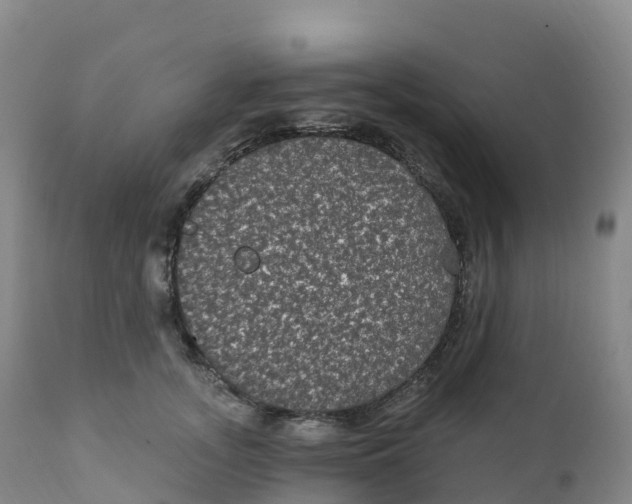 X0000111830755200908131546