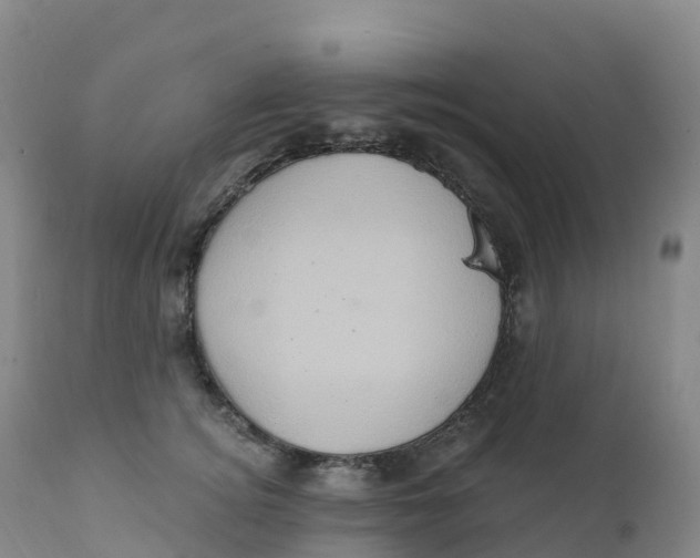 X0000111830756200908131546