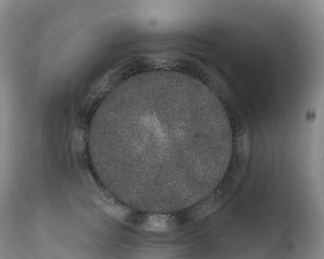 X0000111830757200908131546