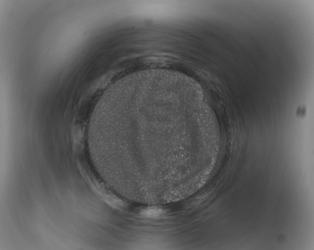 X0000111830759200908131546