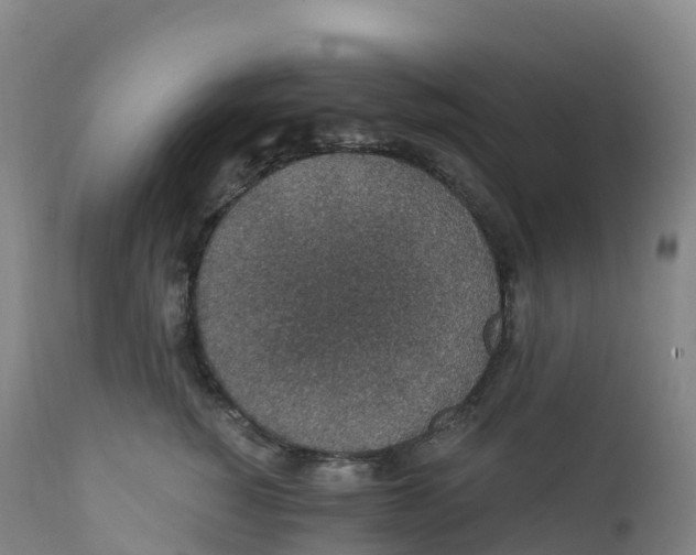 X0000111830760200908131546