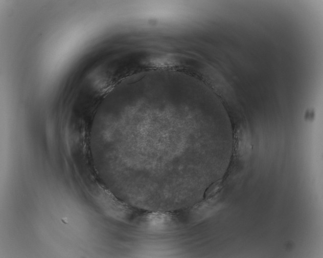 X0000111830762200908131546