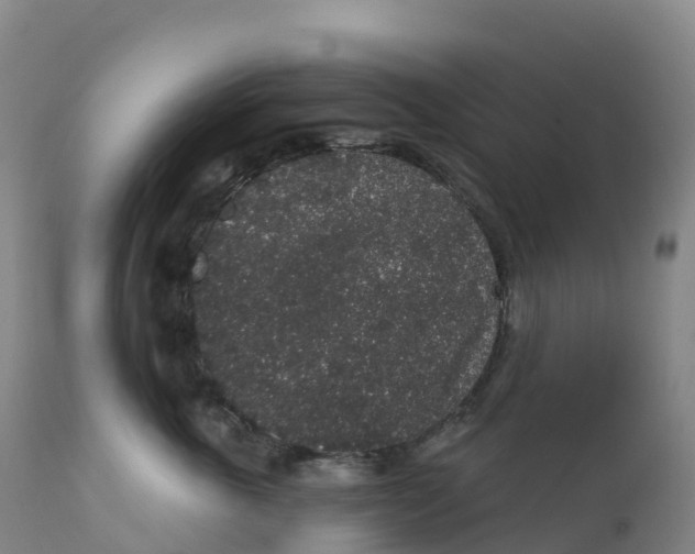 X0000111830763200908131546