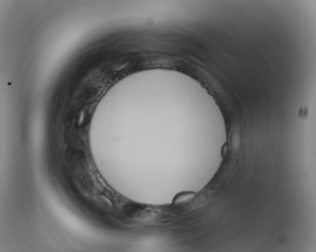 X0000111830764200908131546