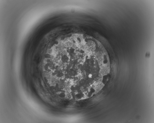 X0000111830765200908131546