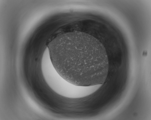 X0000111830766200908131546