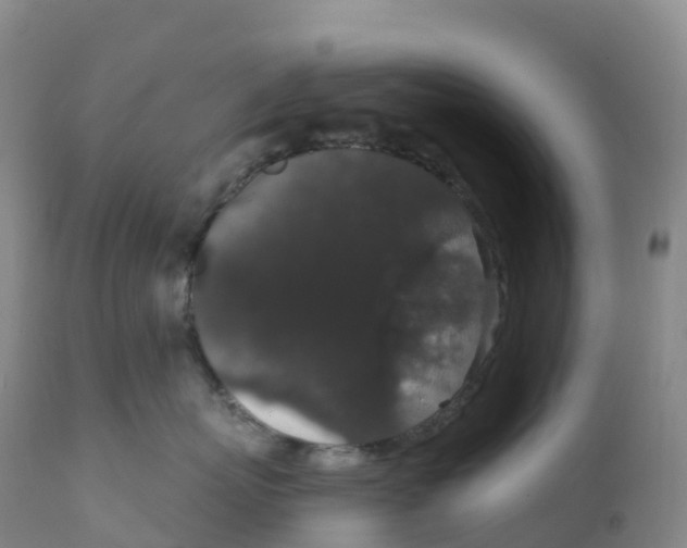 X0000111830767200908131546