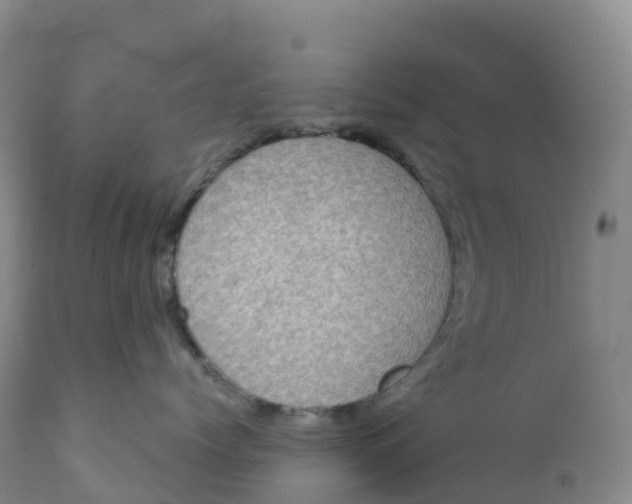 X0000111830768200908131546