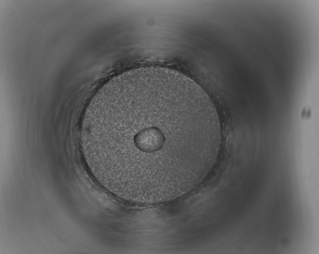 X0000111830769200908131546