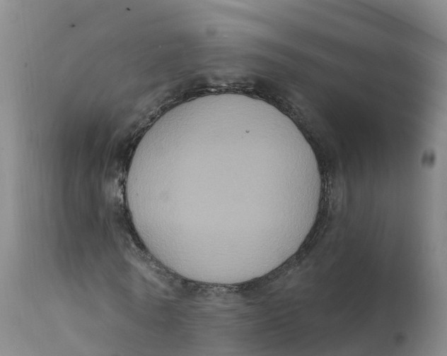 X0000111830770200908131546