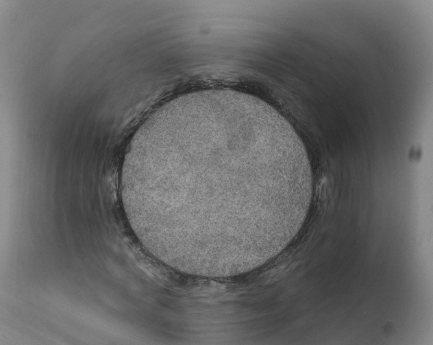 X0000111830772200908131546