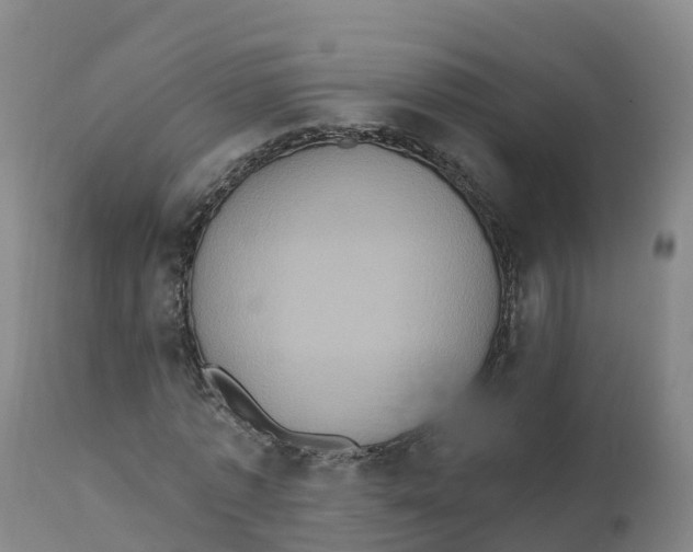 X0000111830773200908131546