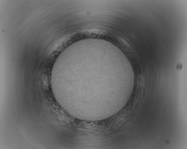 X0000111830774200908131546