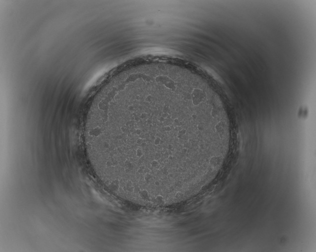 X0000111830775200908131545