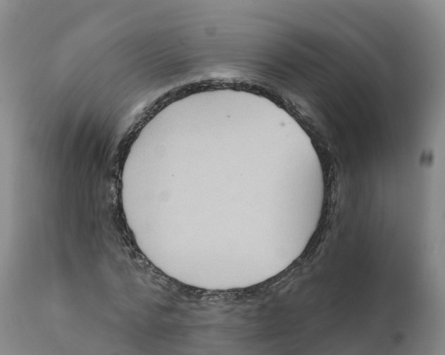 X0000111830776200908131545