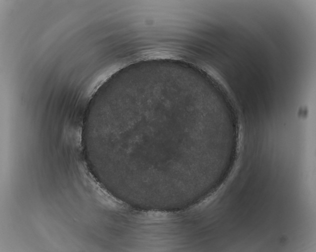 X0000111830777200908131545