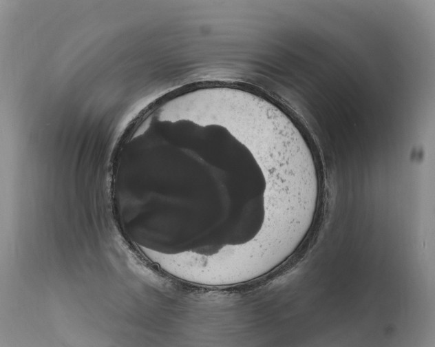 X0000111830779200908131545