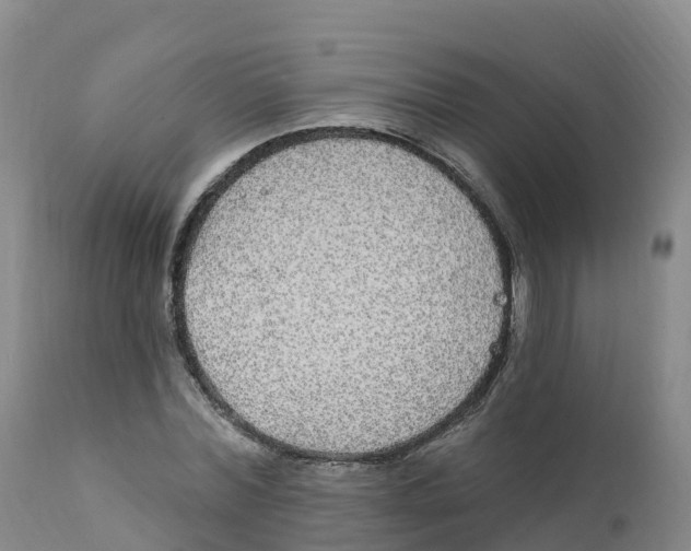 X0000111830780200908131545