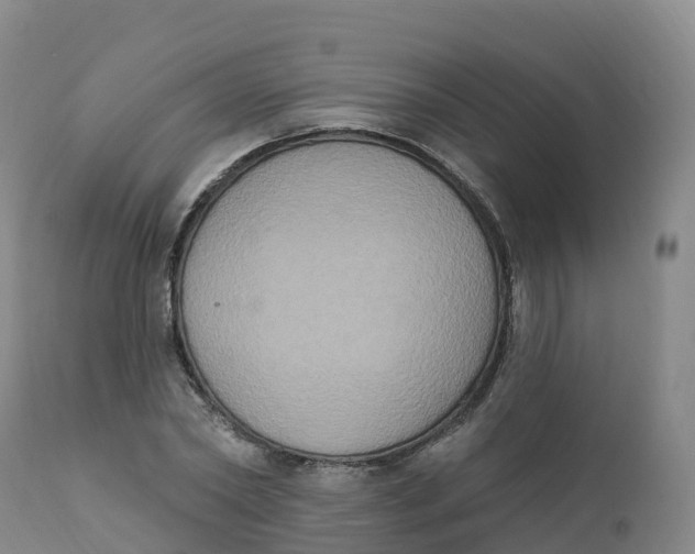 X0000111830782200908131545