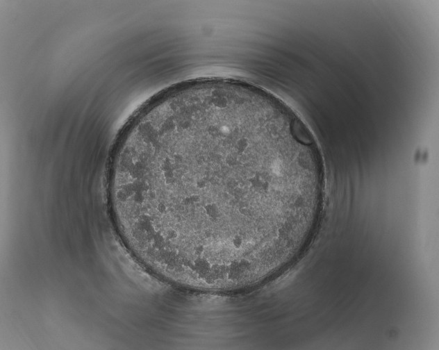 X0000111830783200908131545