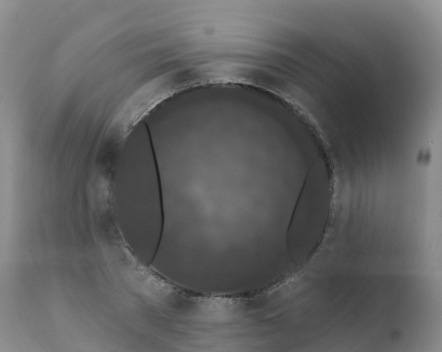 X0000111830785200908131545