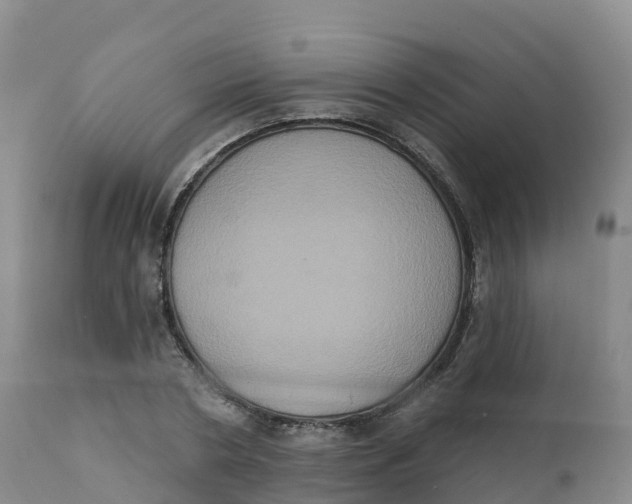 X0000111830786200908131545